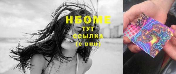 молекула духа Богданович