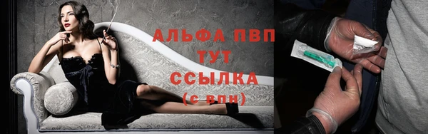 соль ск Белокуриха