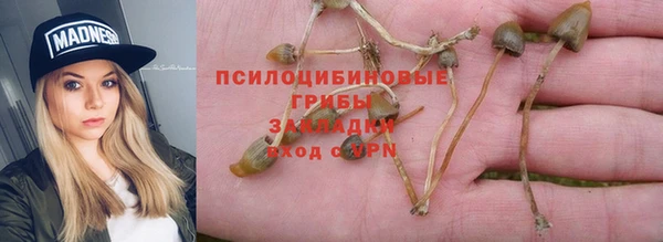 jwh Богородск