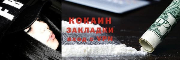 молекула духа Богданович
