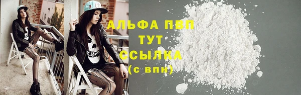 молекула духа Богданович